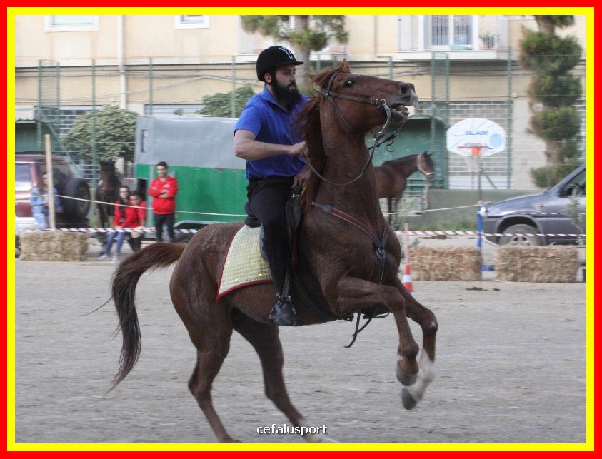 190427 sport 092_tn.jpg